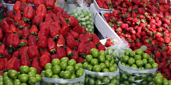 قیمت توت فرنگی